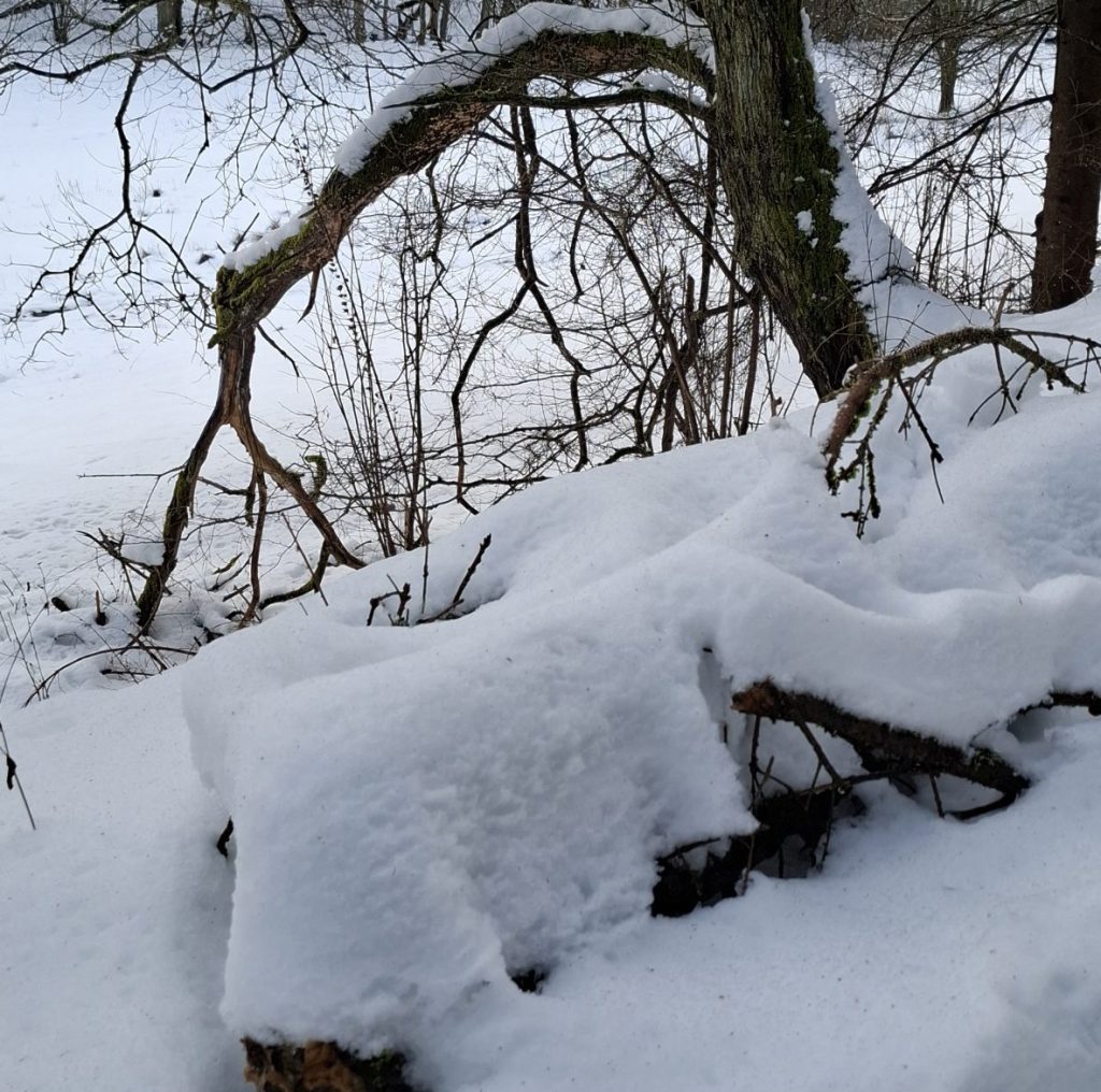 Gespreksgroep ‘Winteren’
