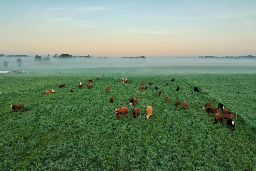 De toekomst van de landbouw