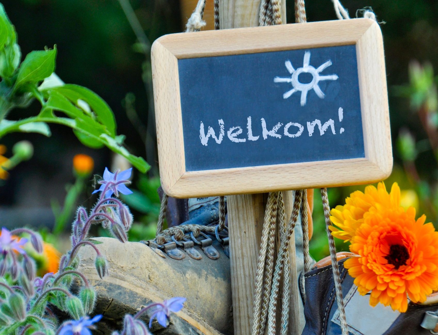  Nivon Arnhem en omstreken 