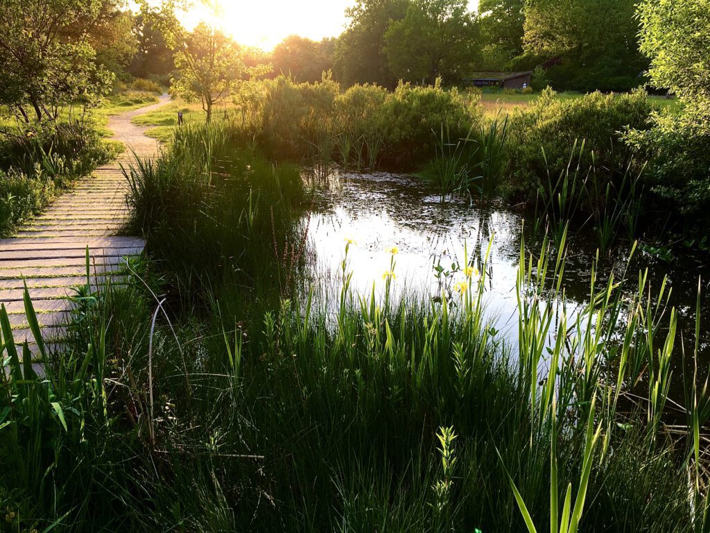 Nieuw: Rondleiding Heemtuin Malden