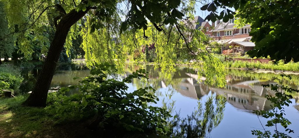 Molenbeek en omgeving